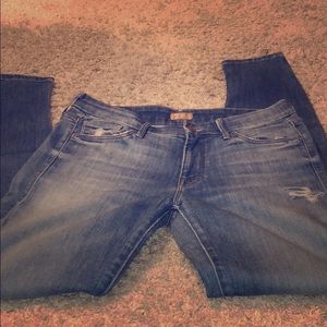 Mother the Looker - Shake Well skinny jean